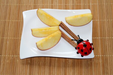 Apple slices cinnamon ladybug