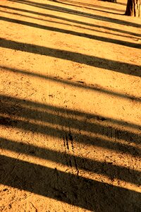 Golden light silhouette atmospheric
