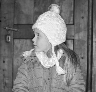 Cap door winter