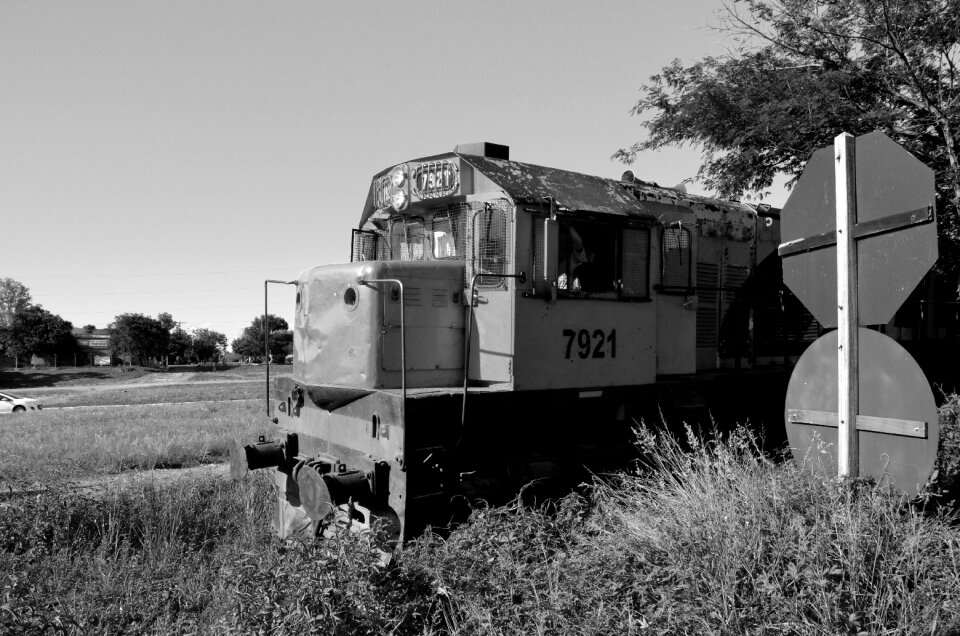 Train railroad crazy