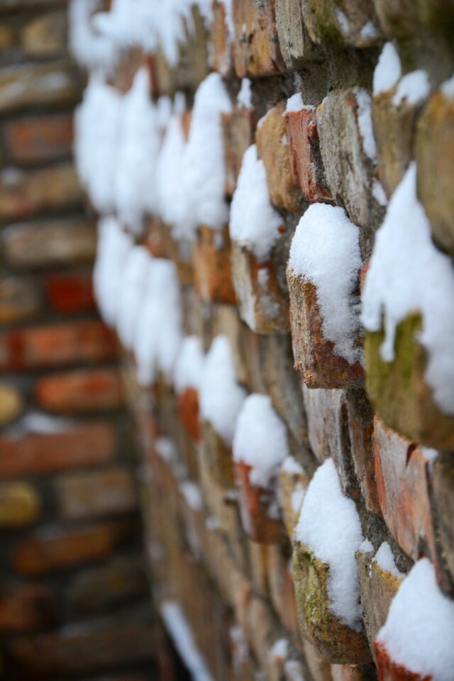 Brick cellar winter