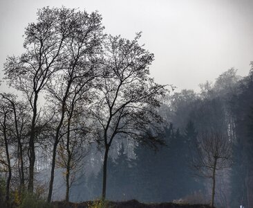 Rest black autumn