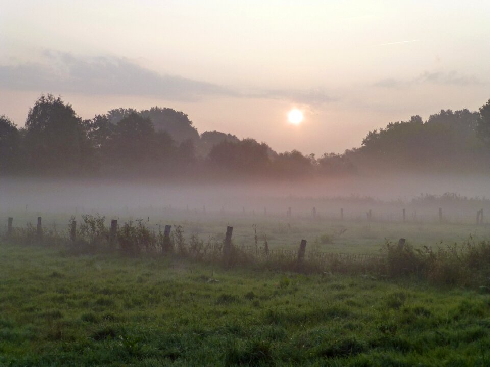 Graze sunrise niederrhein