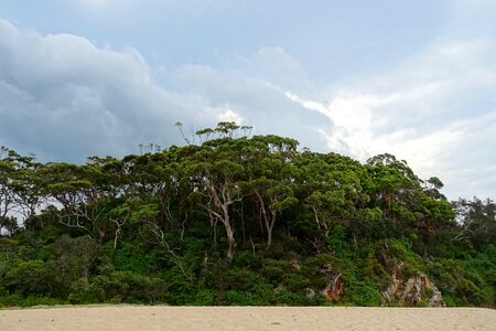 Landscape sand scenic