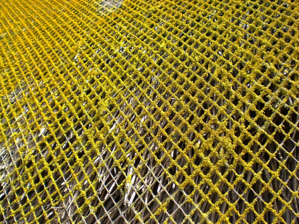 Grid web thatched roof
