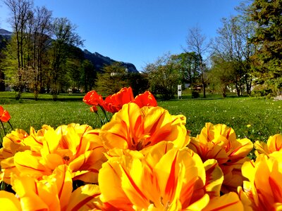 Aschau chiemgau sky photo