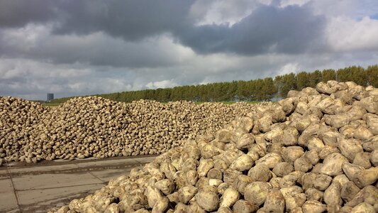 Landscape clouds agriculture