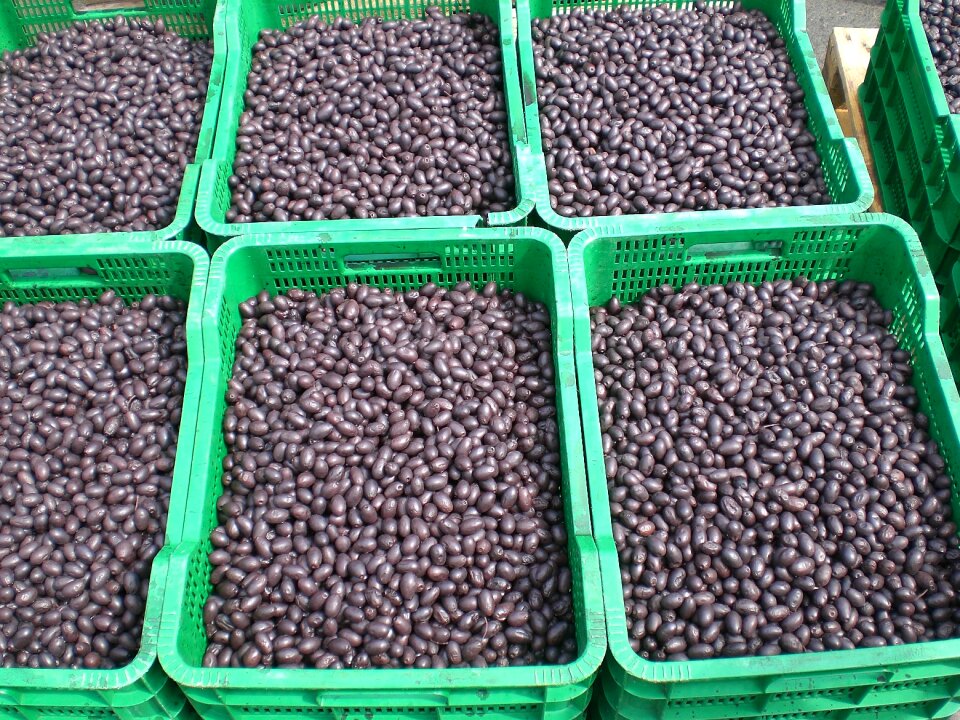 Market market stall drupes
