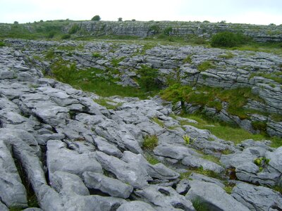 Rocks grass
