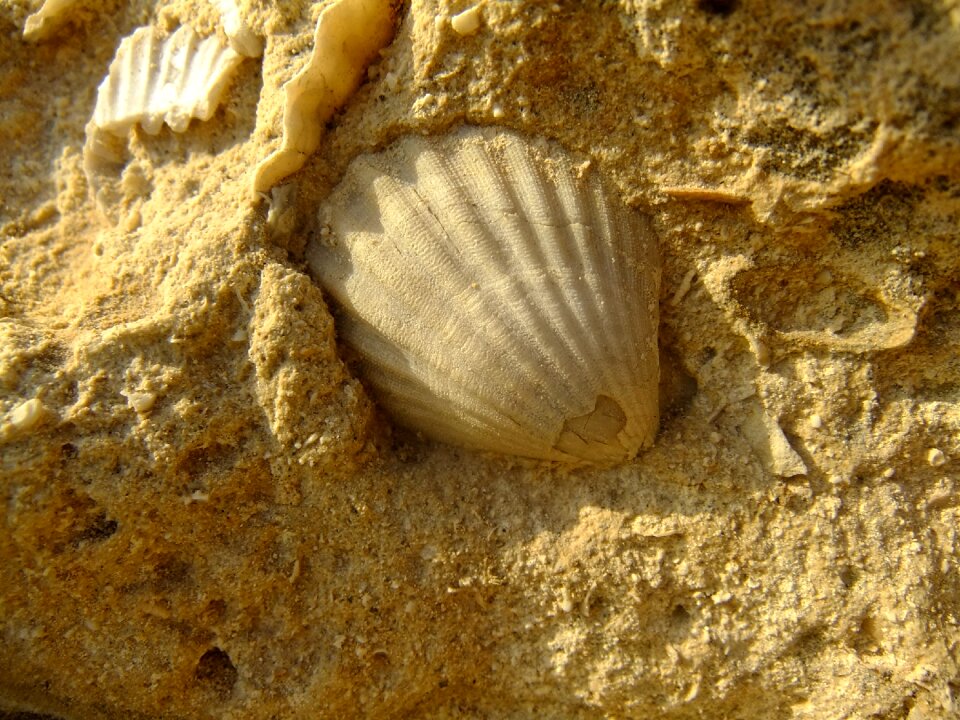 Stone sand nature