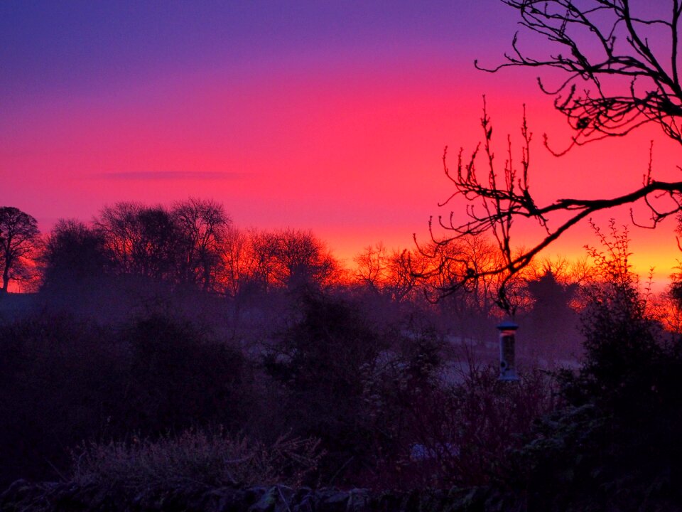 Countryside trees season