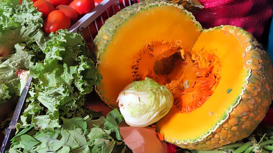 Agriculture colorful natural