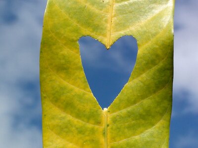 Nature symbol romantic