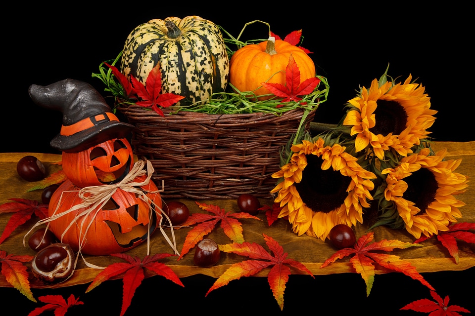 Decoration fall halloween