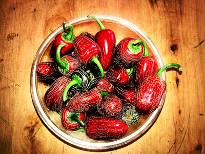 Red pepper still life wood