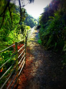 Nature landscape footpath photo