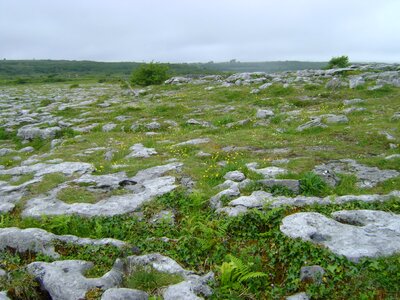 Rocks grass green rock
