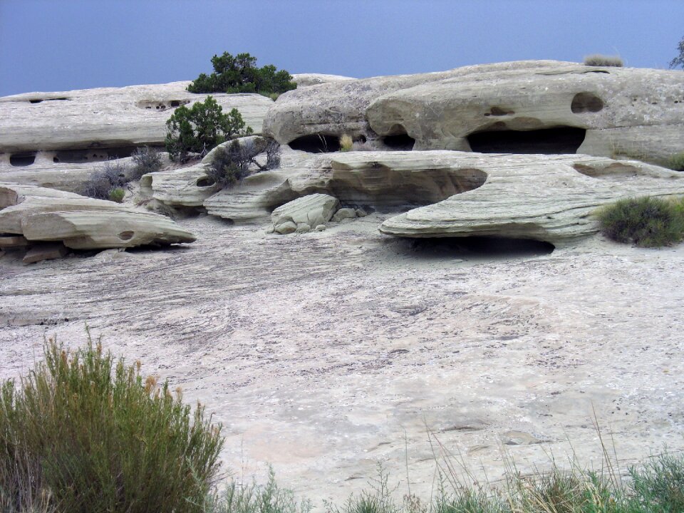 America desert nature