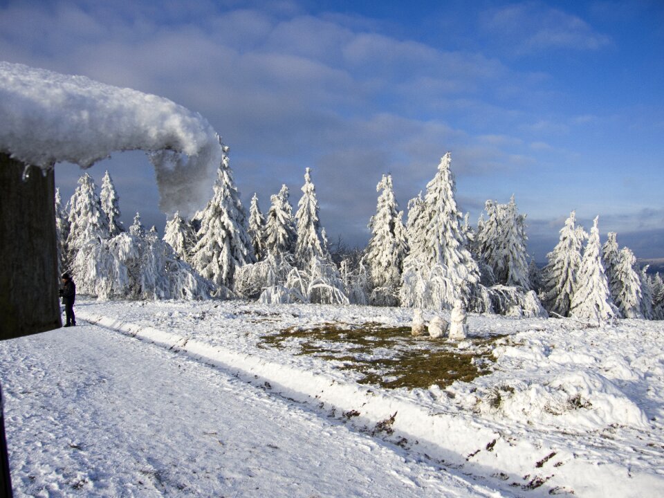 Landscape nature hoarfrost photo