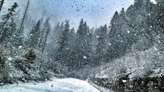 Heavy snow road snow photo