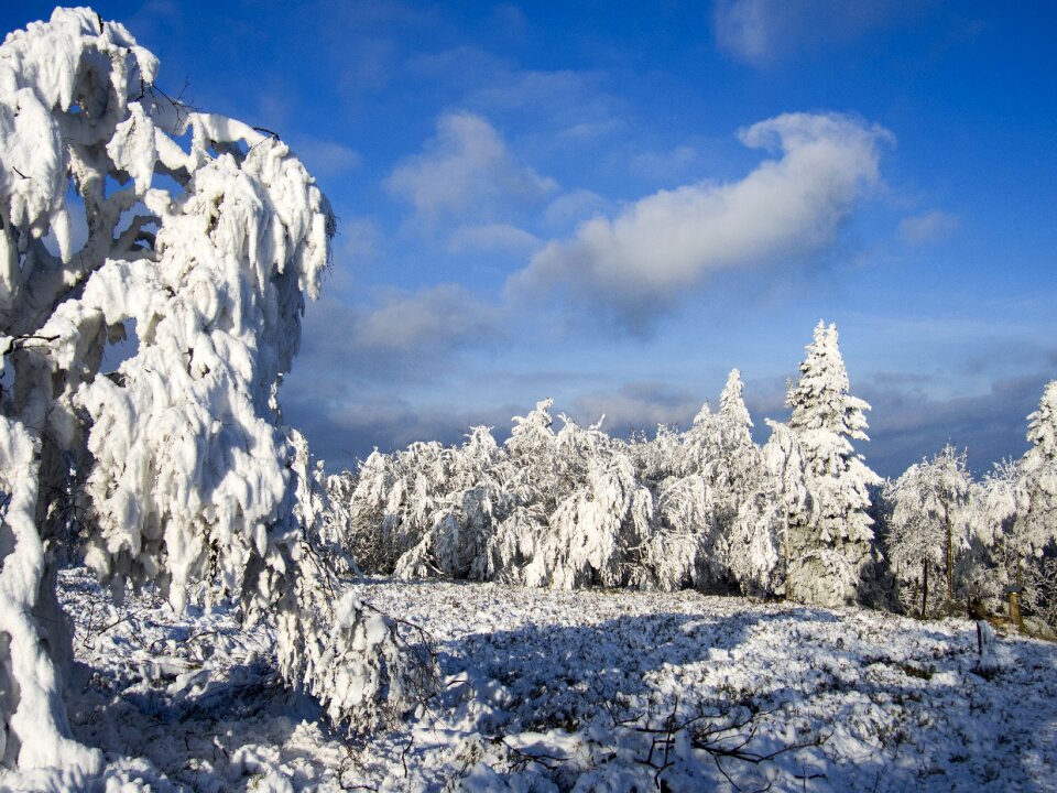 Landscape nature hoarfrost