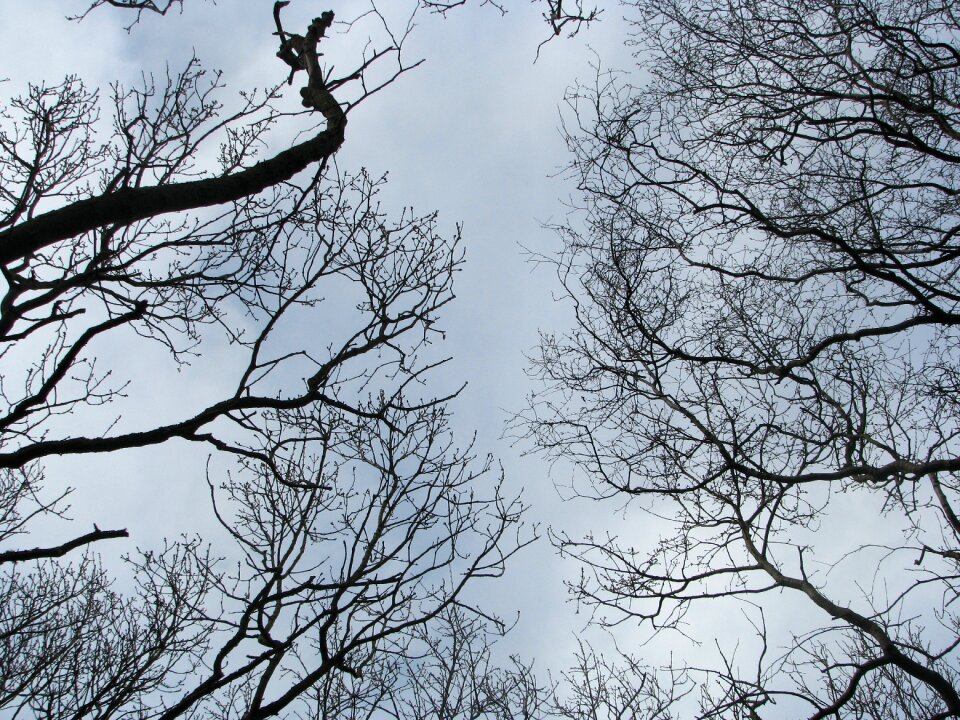 Sky low angle shot clouds