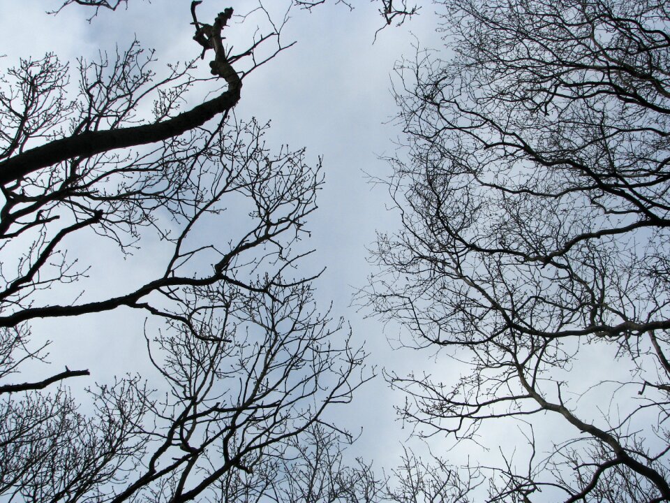 Sky low angle shot clouds photo