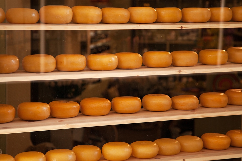 Circular dairy dutch