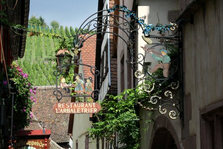 Vineyard alsace teaches