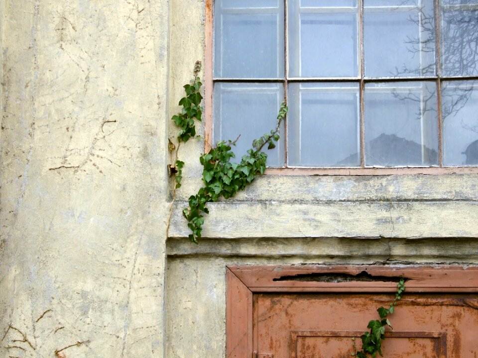 Door window old