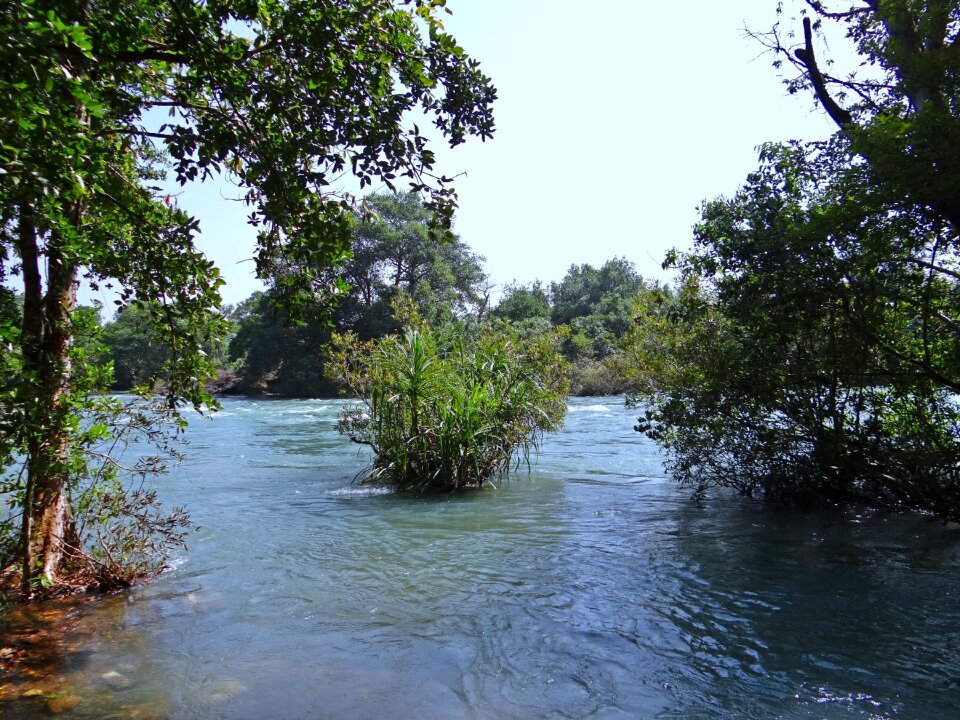 Flow scenery western ghats