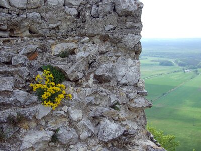 Ruins castle medieval