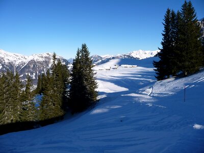 Wintry winter forest snowy photo