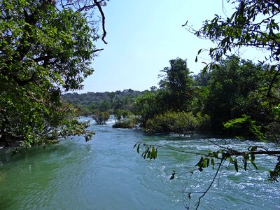 Flow scenery western ghats