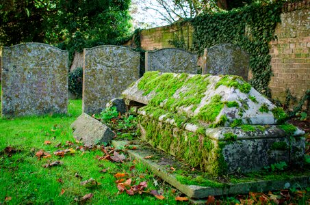 Ancient tomb mossy
