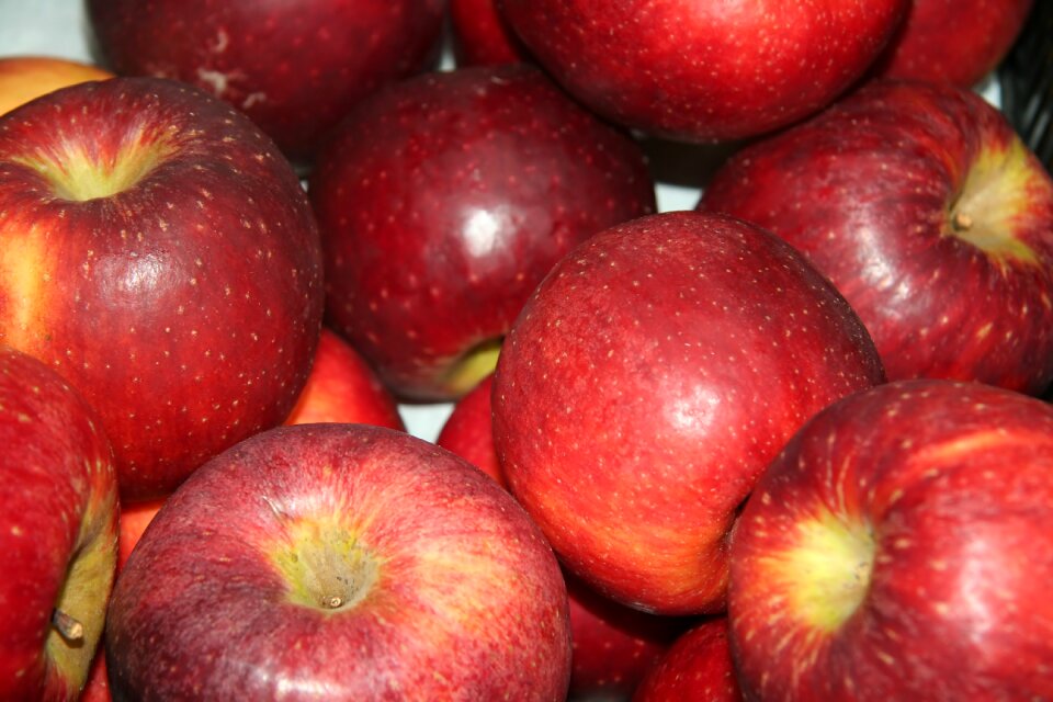 Fruit fruit season red