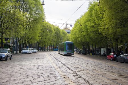 Trees city italy photo