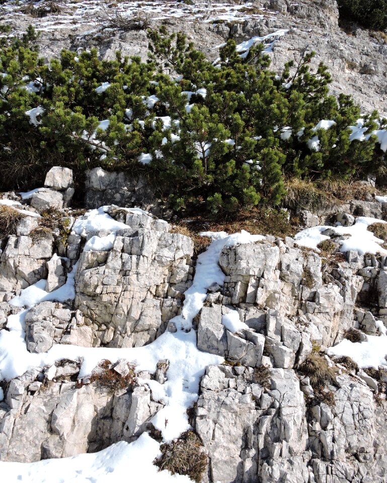 Snow nature mountain