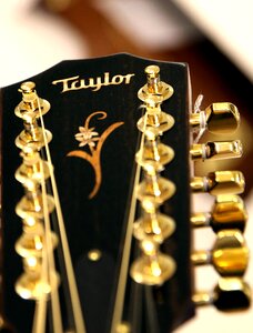 Taylor 12 string guitar head photo