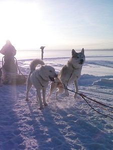 Sledding snow alaska