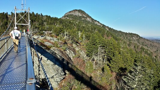 Grandfather mountain nature