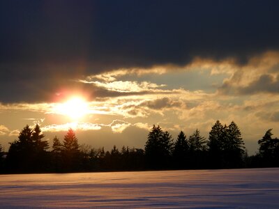 Trees snow abendstimmung photo