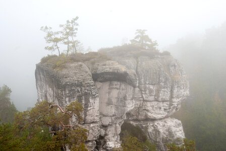 Plein air rocks the fog