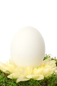 Decorative easter egg photo