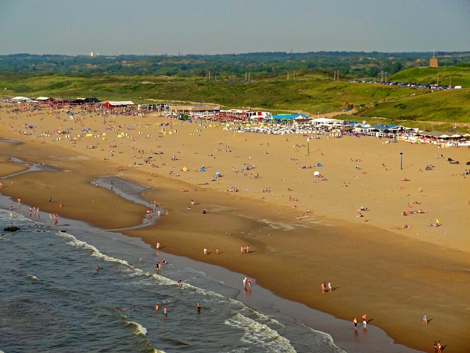 Sea dunes beach life