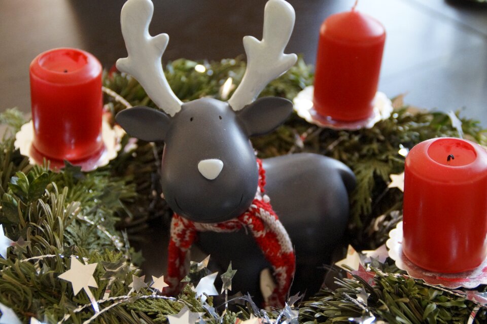 Decorated before christmas christmas