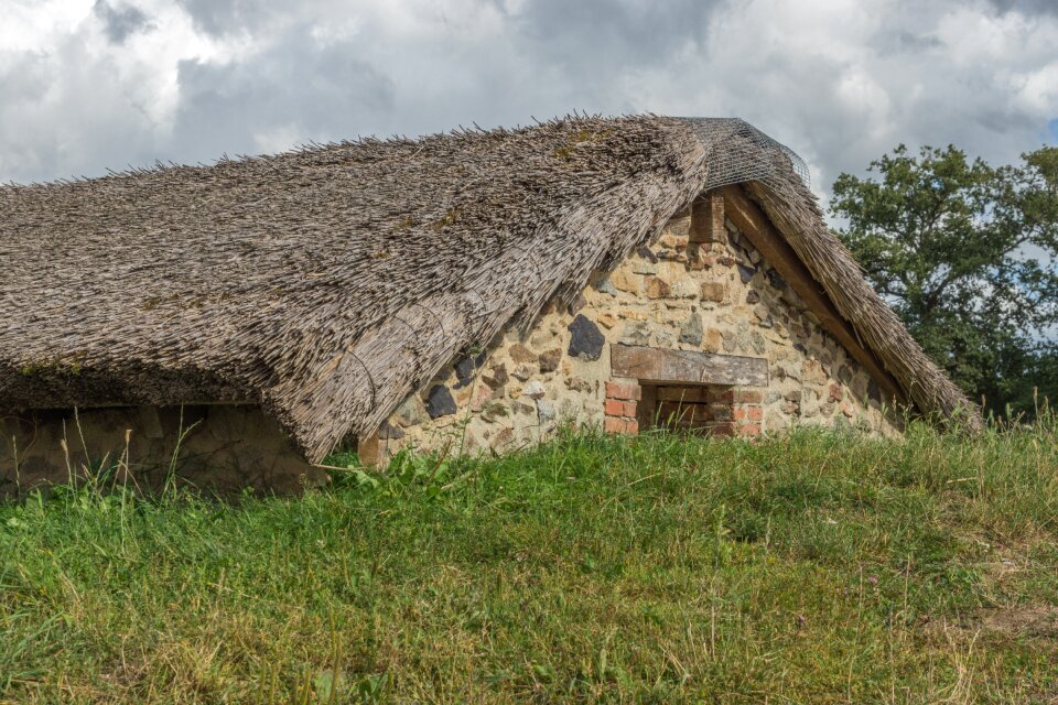 House thatch ecology