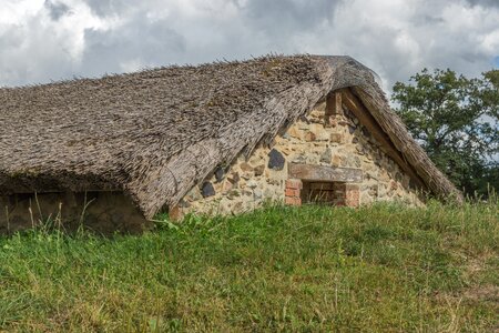 House thatch ecology
