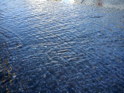 Flow water shiny