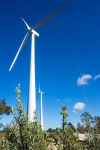 Renewable energy wind turbine wind energy photo